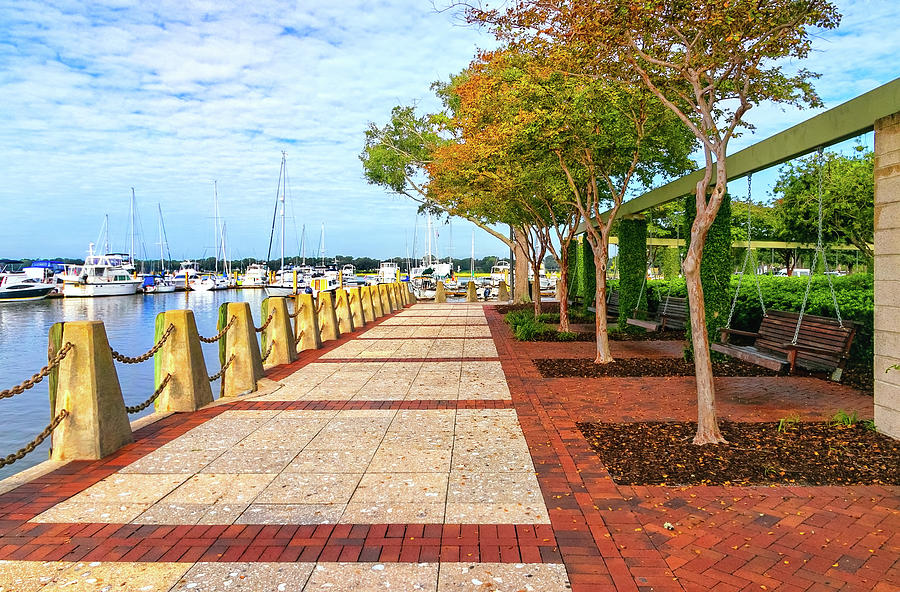 Waterfront Park Beaufort SC Photograph By Carolyn Derstine - Fine Art ...