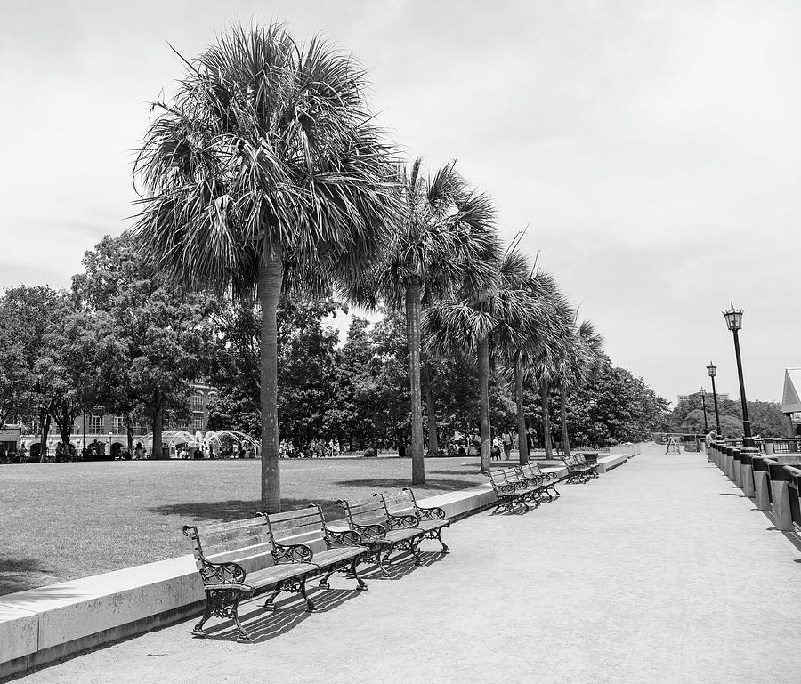 Waterfront Park Black And White Photograph by Dan Sproul