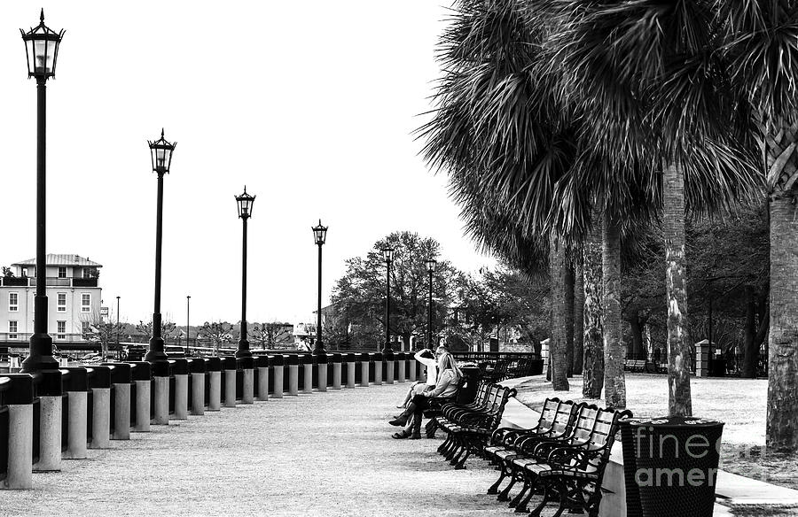 Waterfront Park Seats in Charleston South Carolina Photograph by John Rizzuto