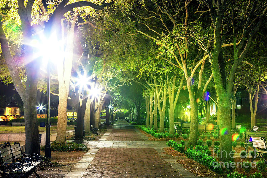 Waterfront Park Stroll at Night in Charleston Photograph by John Rizzuto