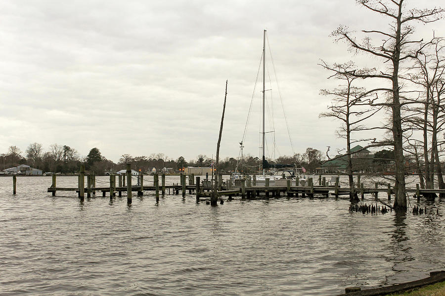 Waterfront View Photograph by Carolyn Ricks