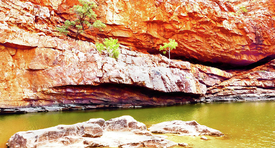Waterhole - Ormiston Gorge 2 Photograph by Lexa Harpell