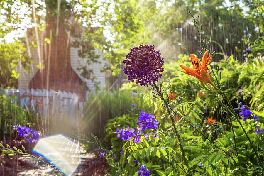 Watering the Garden Photograph by Rachel Morrison