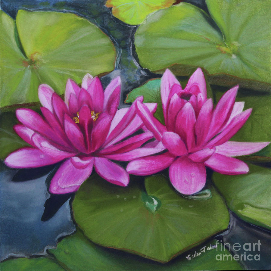 Waterlilies Pastel by Erika Farkas - Fine Art America