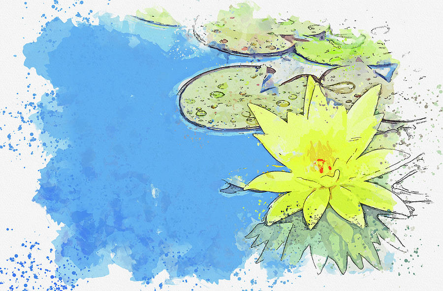 waterlilly, watercolor, ca 2020 by Ahmet Asar Digital Art by Celestial Images