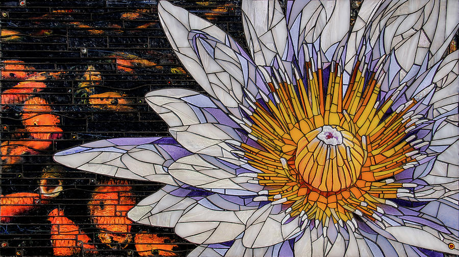 Waterlily Glass Art by Cherie Bosela