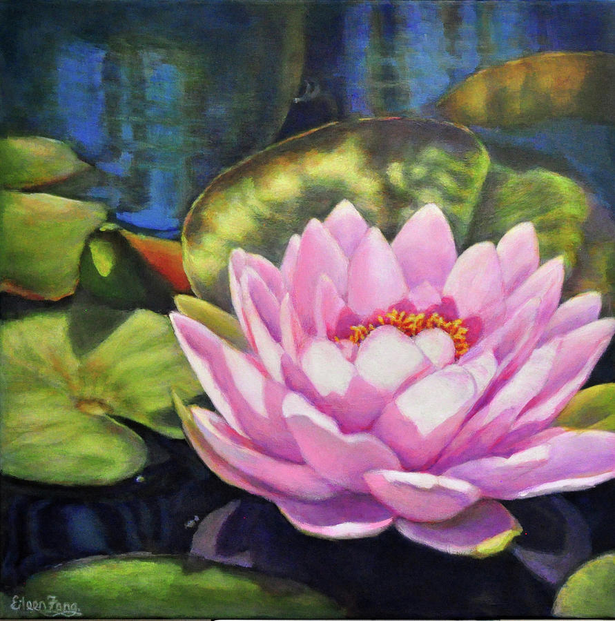 Waterlily in the Light Painting by Eileen  Fong
