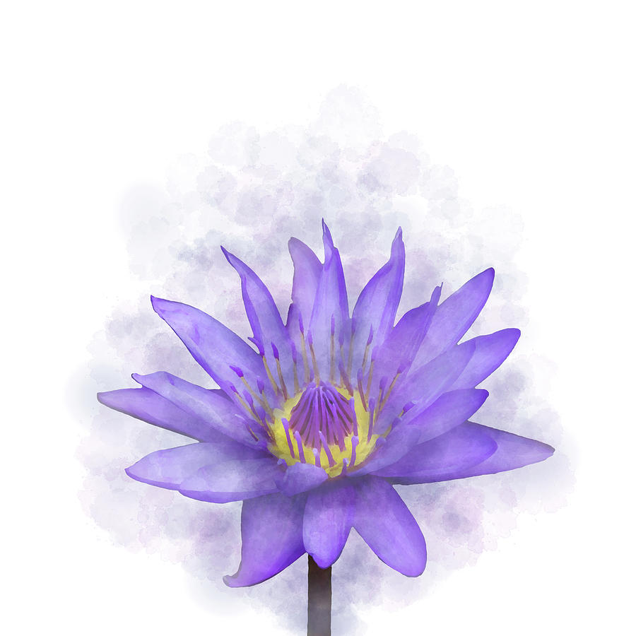Waterlily Purple Flower 7 Mixed Media by Lucie Dumas