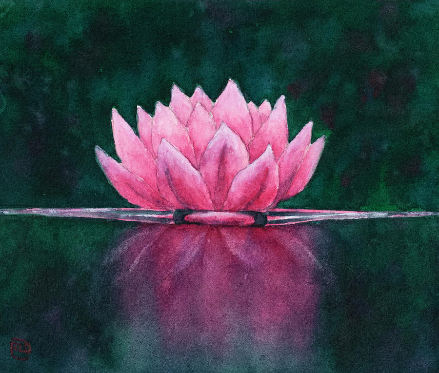 Waterlily  Painting by Rebecca Davis
