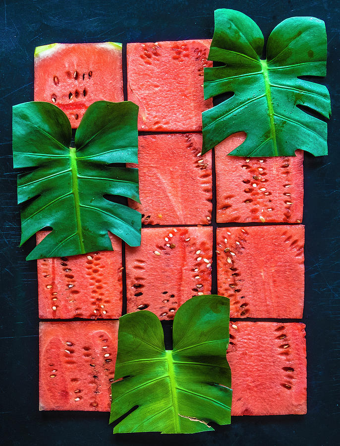 Watermelon Grid Photograph by Sarah Phillips