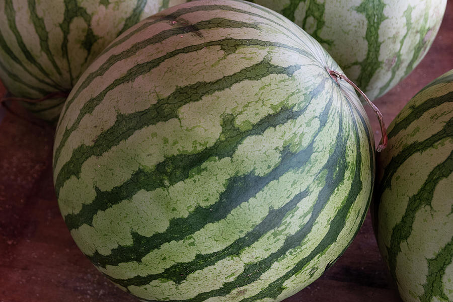 Watermelon on Display at Market Photograph by Bradford Martin