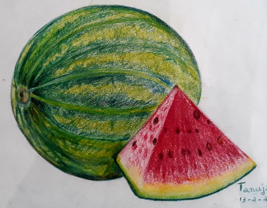 Colored pencil drawing of round watermelon and... - Stock Illustration  [89059999] - PIXTA