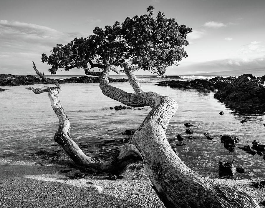 Landscape Photograph - Waters Edge, Hawaii by Dianne Arrigoni