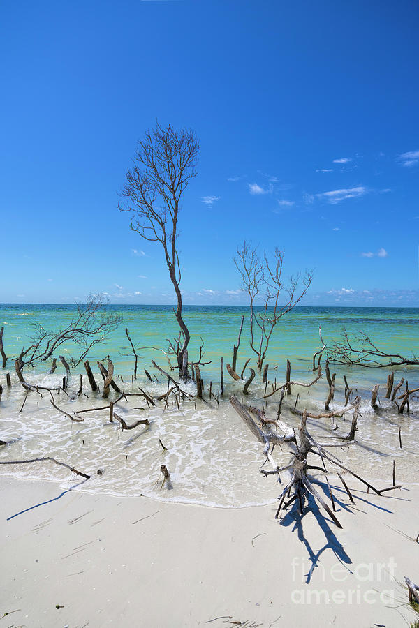 Waters Edge Photograph - Waters Edge III by Felix Lai Waters Edge Photograph - Waters Edge III by Felix Lai