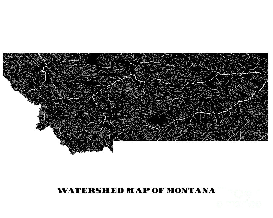 watershed map of Montana Painting by Lisa Middleton