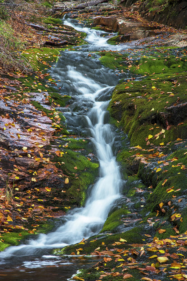 Waterville Flume Autumn Cascade Photograph by White Mountain Images