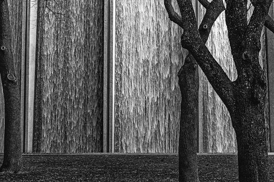 Waterwall Amidst The Trees Photograph by Mike Schaffner