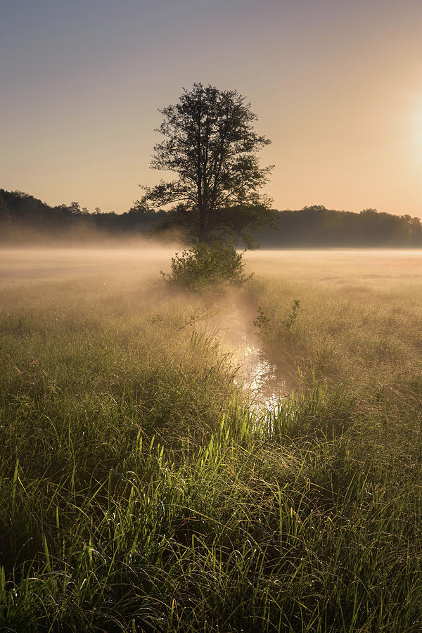 Waterway Photograph By Yvonne Albe | Fine Art America