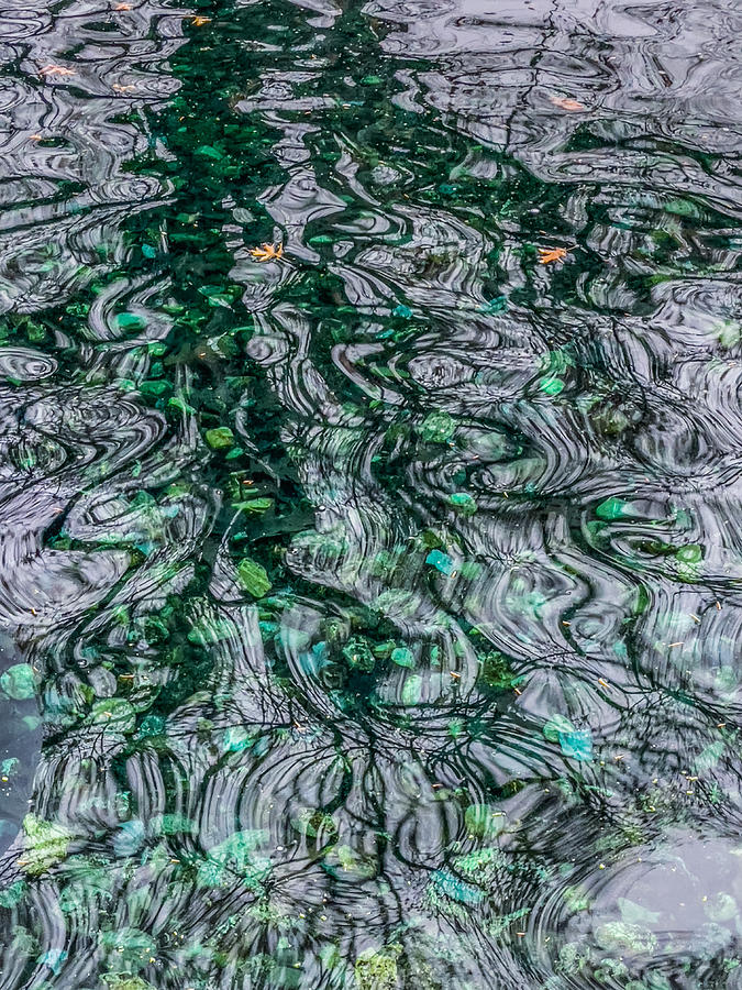 Watery Abstract Photograph by Cate Franklyn