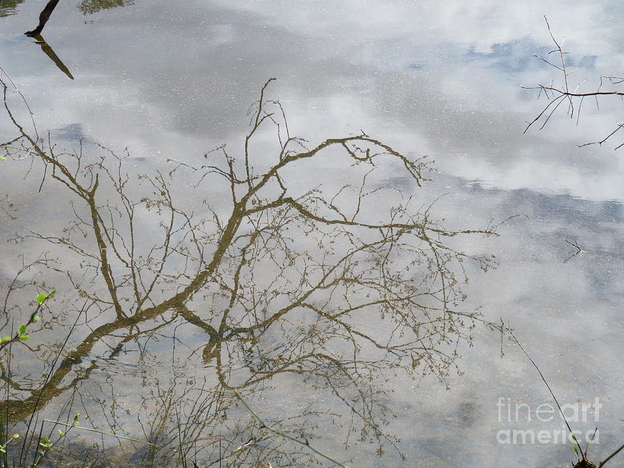 Spring Photograph - Watery Reflections by Kevin Croitz