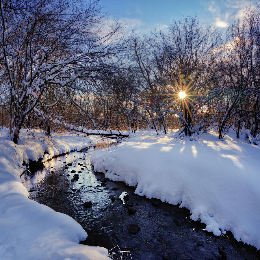Watery Winterscape -  Snow-frosted Anthony Branch creek in WI Photograph by Peter Herman