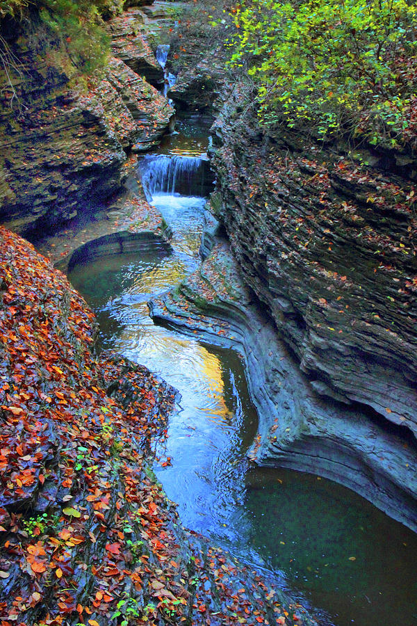 Fall Photograph - Watkins Glen Creek by Jessica Jenney