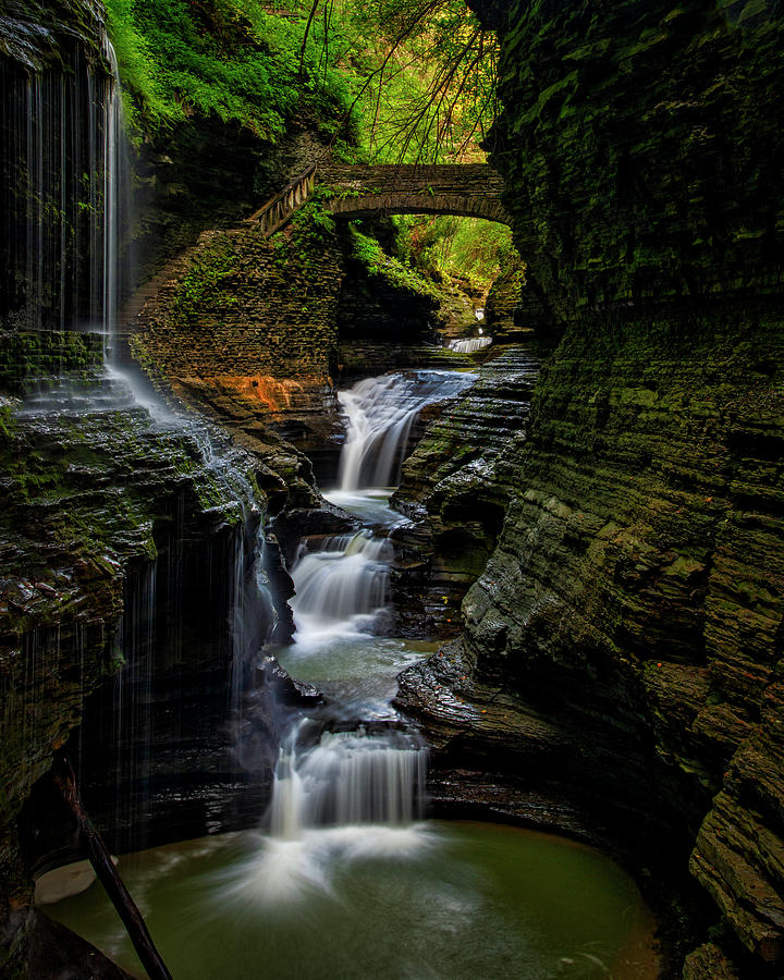 Watkins Glen Gorge Photograph by Andy Crawford