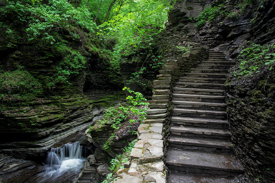 Watkins Glen Hiking Stairs Photograph by Dan Sproul