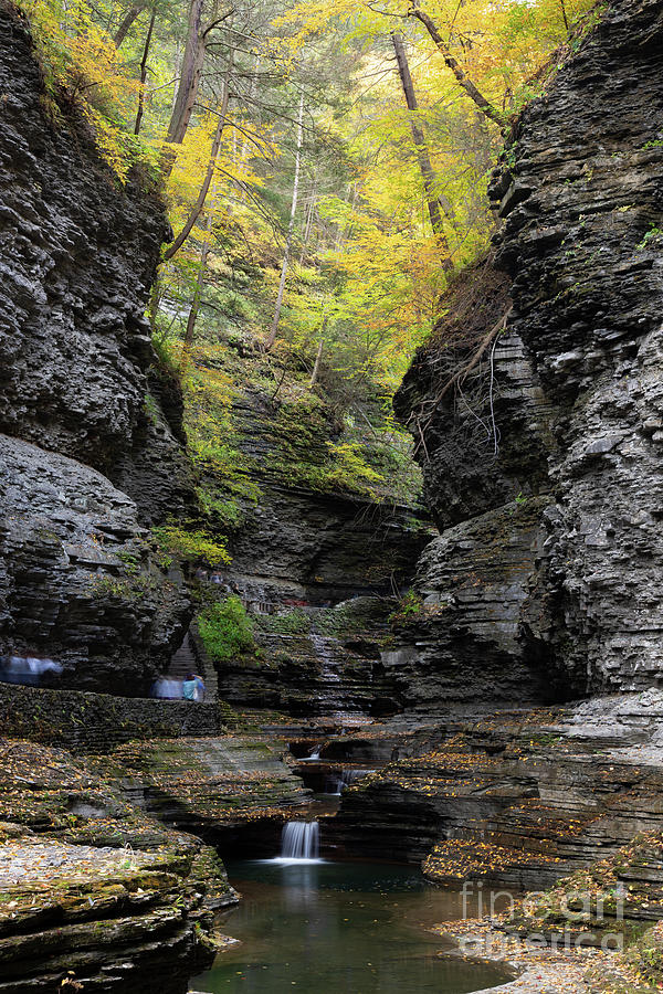 Watkins Glen State Park during autumn Photograph by Jeannette Hunt