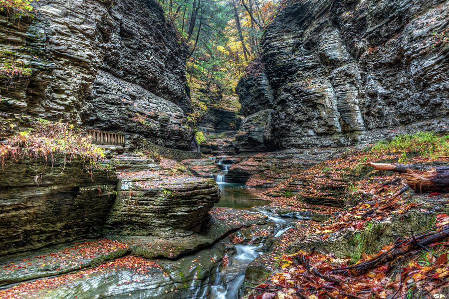 Watkins Glen State Park Waterfalls - Autumn Rain Photograph by Chad Dikun