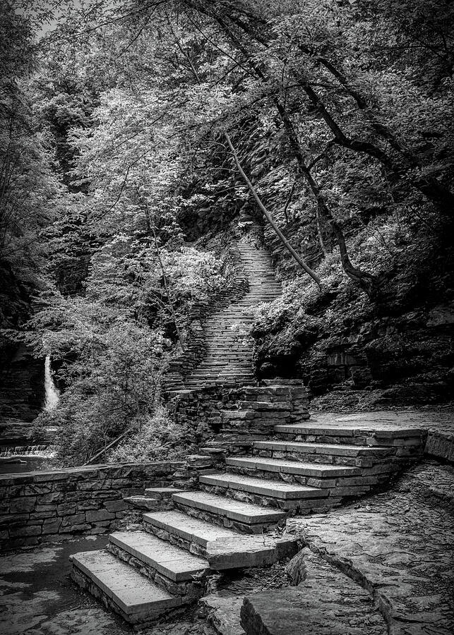 Watkins Glen Steps Black And White Photograph by Dan Sproul Watkins Glen Steps Black And White Photograph by Dan Sproul
