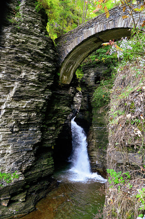 Watkins Glenn State Park Photograph by Sheila Saint - Fine Art America