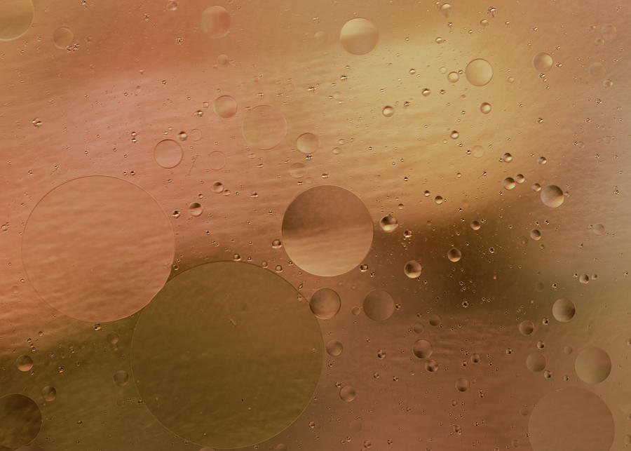 Watr Drops on Glass Photograph by Amelia Pearn
