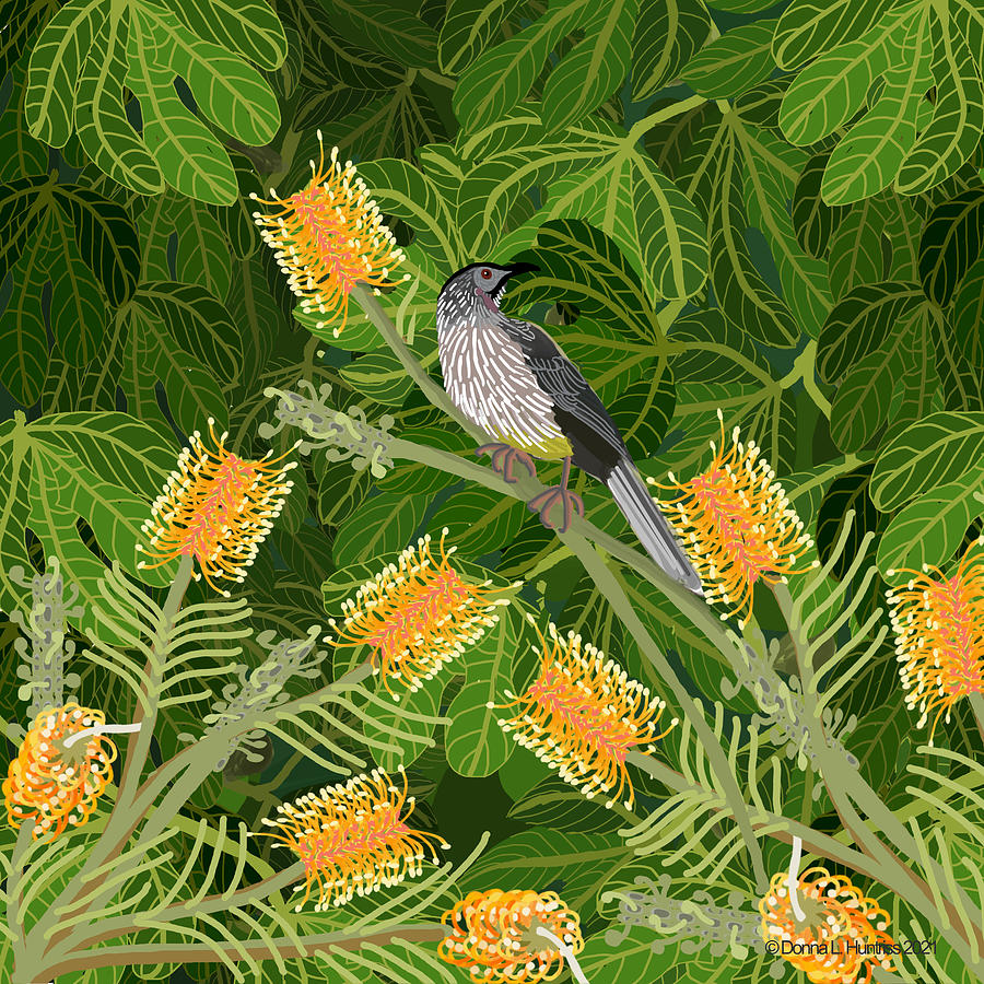 Wattle Bird Digital Art by Donna Huntriss