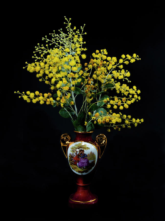 Wattle blossom in a picturescque ceramic vase on black. Photograph by Geoff Childs