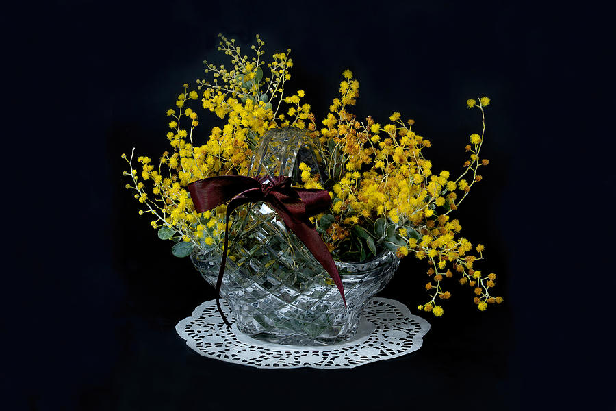 Wattle blossoms in a crystal glass basket vase on black. Wattle  Photograph by Geoff Childs