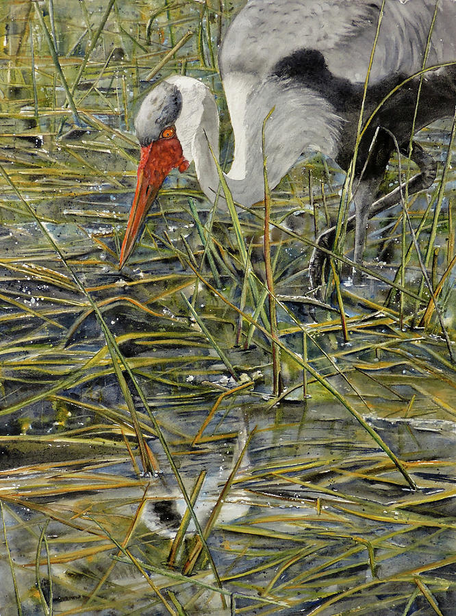 Crane Painting - Wattled Crane in Pond by Vicky Lilla