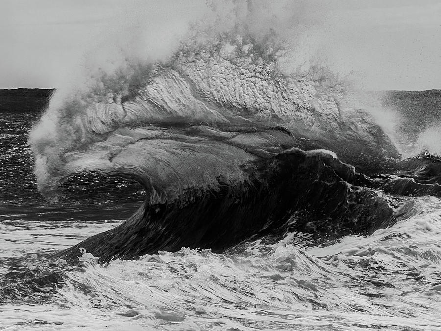 Wave and Vains - BW Photograph by Alan Hart