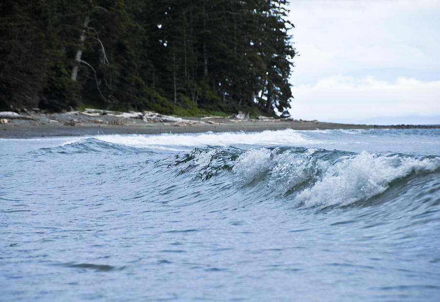 Wave, Beach and Forest in British Columbia Photograph by Silentfoto