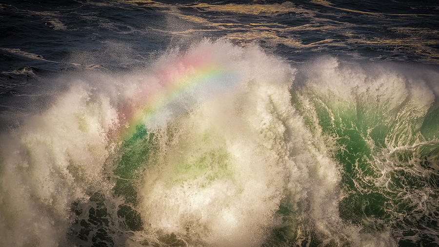 Wave Bow Photograph by Bill Posner