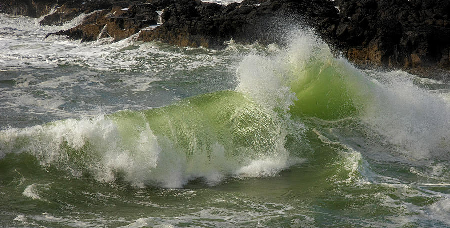 Wave Flip Photograph by Bill Posner