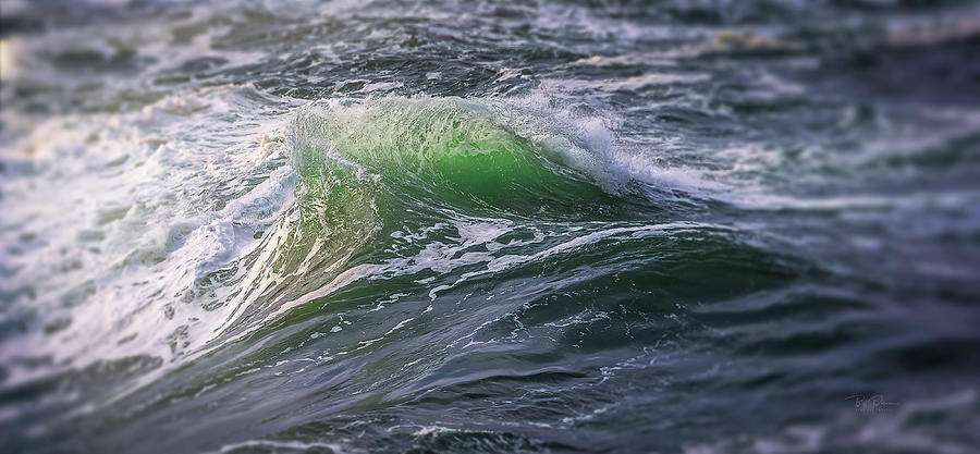Wave Hump Photograph by Bill Posner