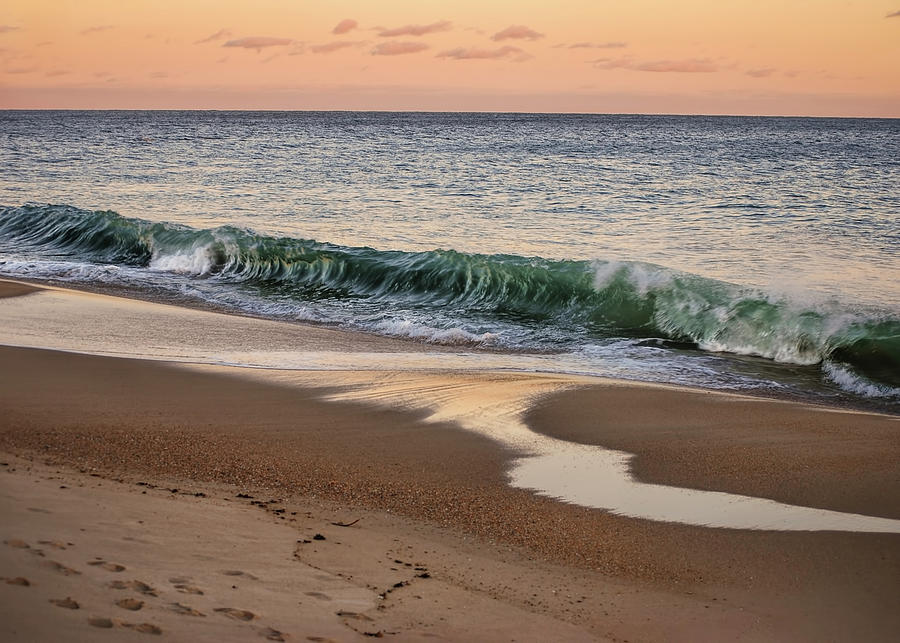 Wave In Rhode Island Photograph by Cordia Murphy