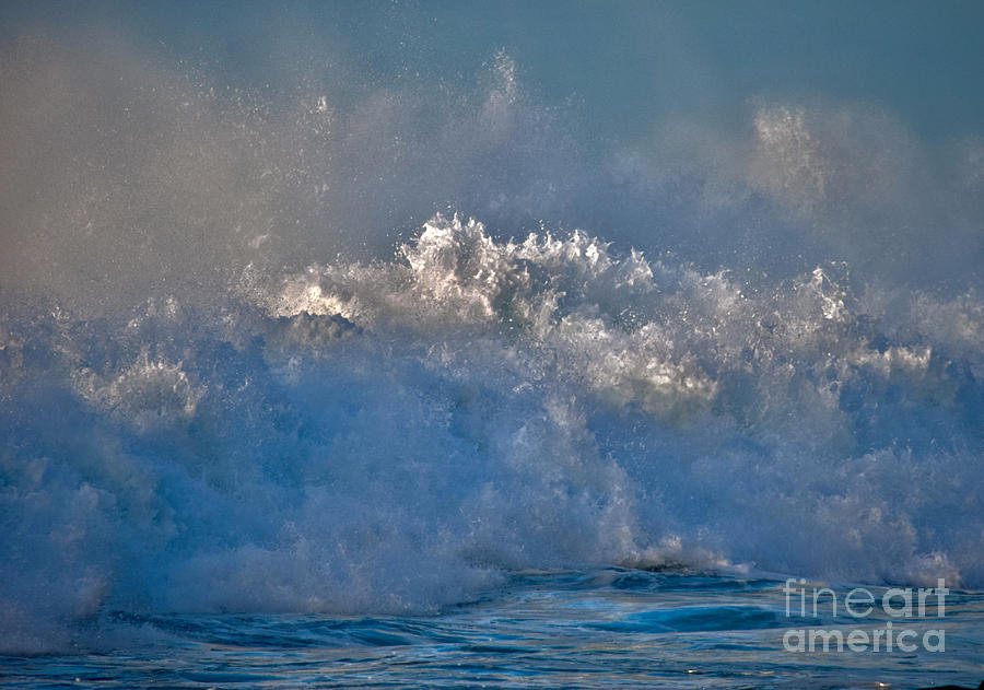 Wave of Bubblegum Photograph by Debra Banks