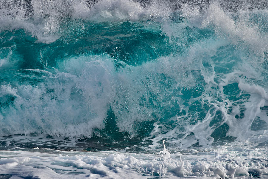 Wave of Swirls Photograph by Debra Banks