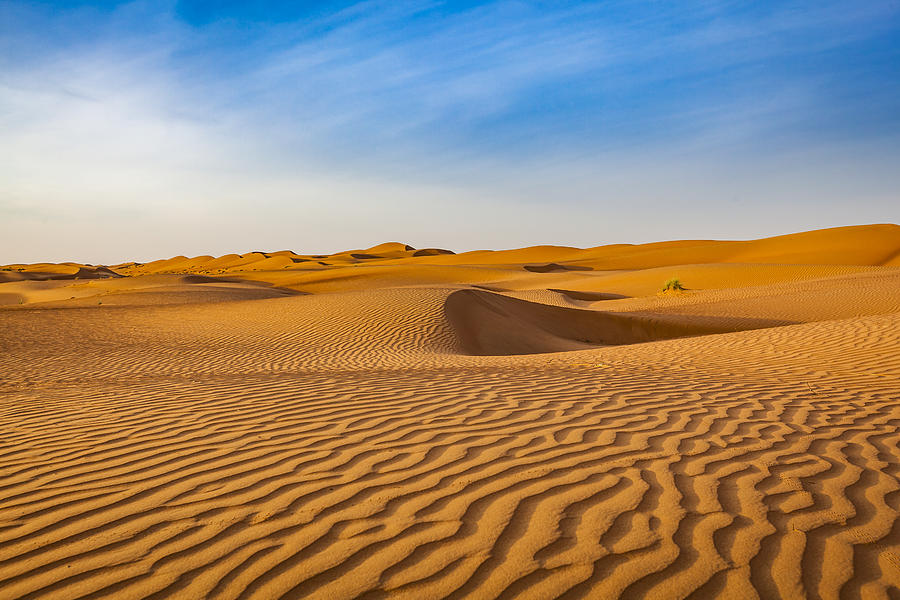 Wave Pattern Desert Landscape, Oman Photograph by 35007