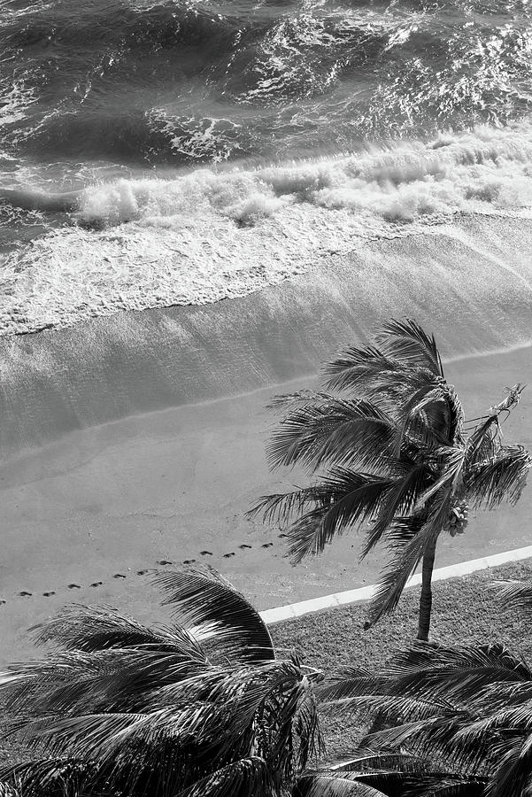 Waves and Palms Photograph by Laura Fasulo