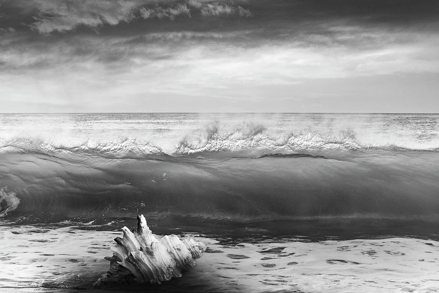 Waves and Shells III Black and White Photograph by Debra and Dave Vanderlaan Waves and Shells III Black and White Photograph by Debra and Dave Vanderlaan