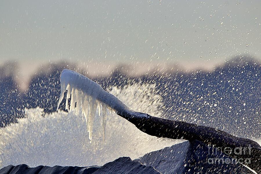 Waves and water Photograph by Yvonne M Smith Waves and water Photograph by Yvonne M Smith