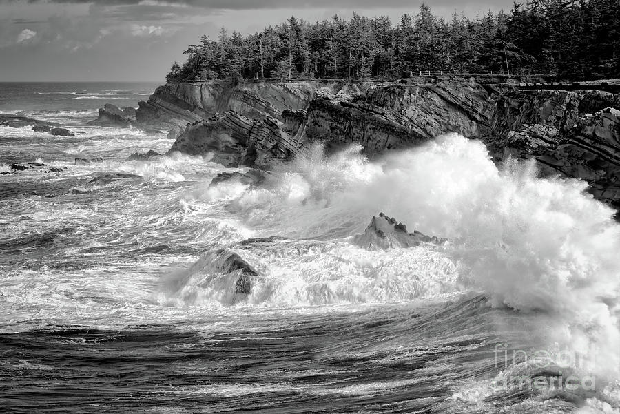 Waves At Shore Acres 2 BW Photograph by Al Andersen